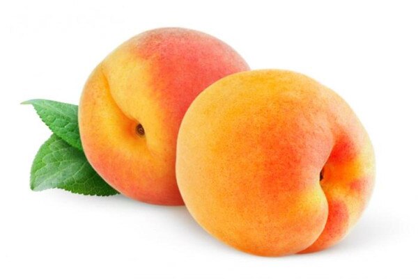 New Jersey Peaches (25 lb. Case) Office Coffee Company